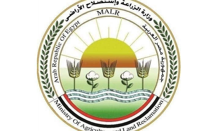 الزراعة تعلن ذبح 7681 أضحية بالمجازر الحكومية مجانا في ثالث أيام عيد الأضحى
