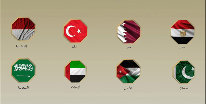 مصر و7 دول تدين تصرفات وزير الأمن القومي الإسرائيلي بحق المشاركين في أسطول غزة
