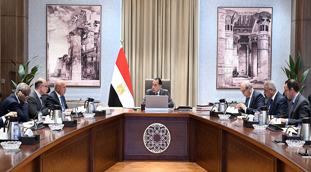 الحكومة: مجموعة عمل لتولي وضع آليات تعزيز التعاون التجاري والاستثماري مع إفريقيا