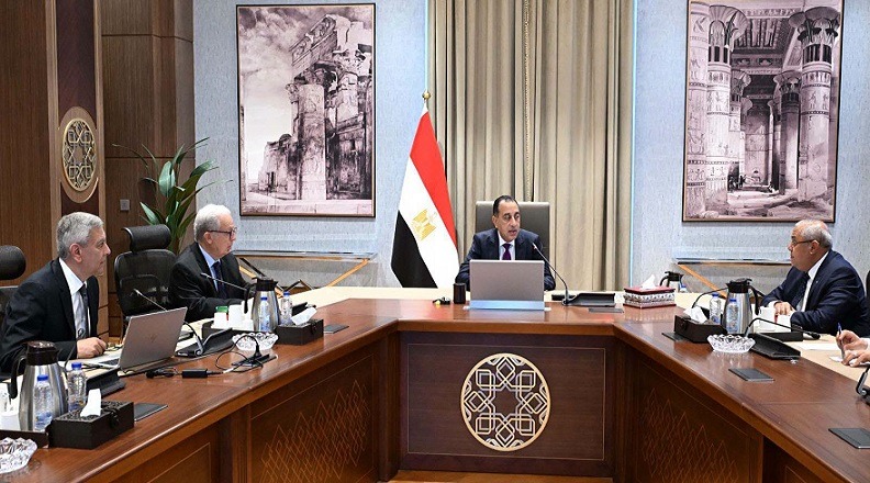 الحكومة: اعتماد خطط واضحة لإعادة هيكلة مختلف شركات القابضة للأدوية